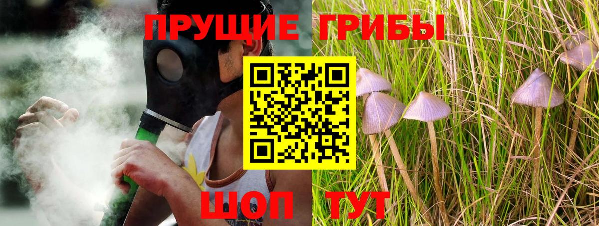 Галлюциногенные грибы мицелий  Вход с VPN  Гусь-Хрустальный 