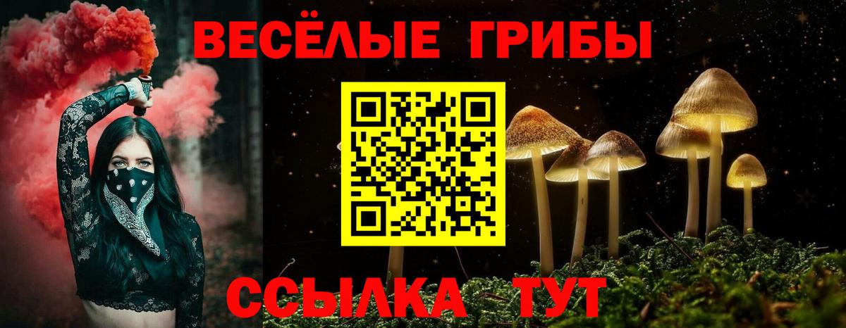 Псилоцибиновые грибы Psilocybe Гусь-Хрустальный